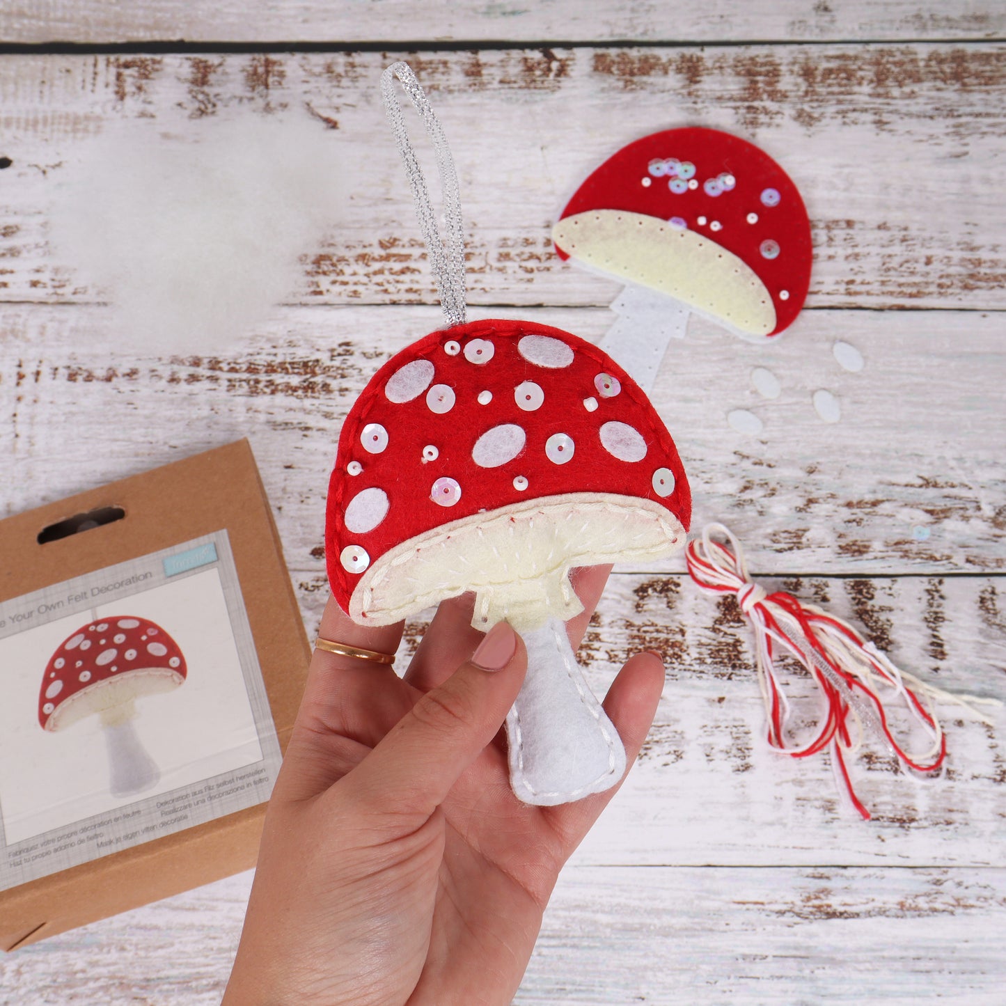 FELT KIT - Toadstool