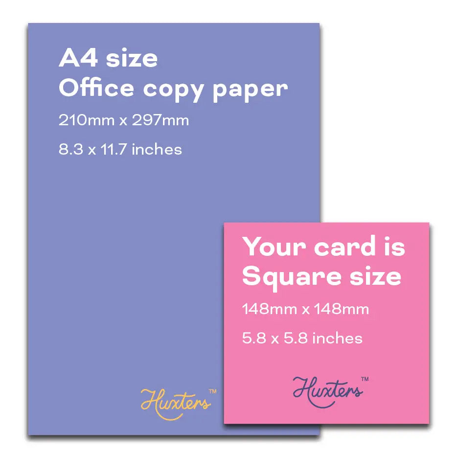 STEVE? Is That You? - Christmas Card