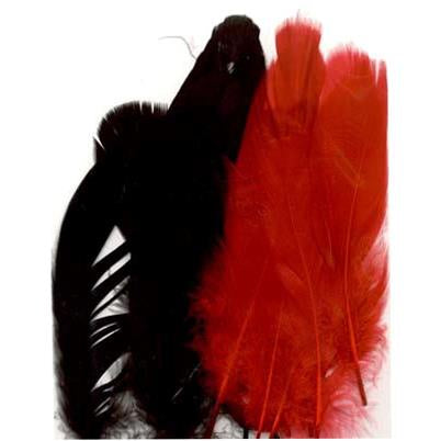 FEATHERS - 15 Pieces - More colours available