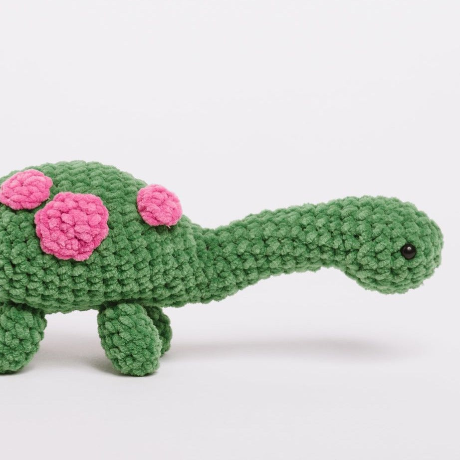 Happy Chenille Book 5 - ROARSOME DINOSAURS
