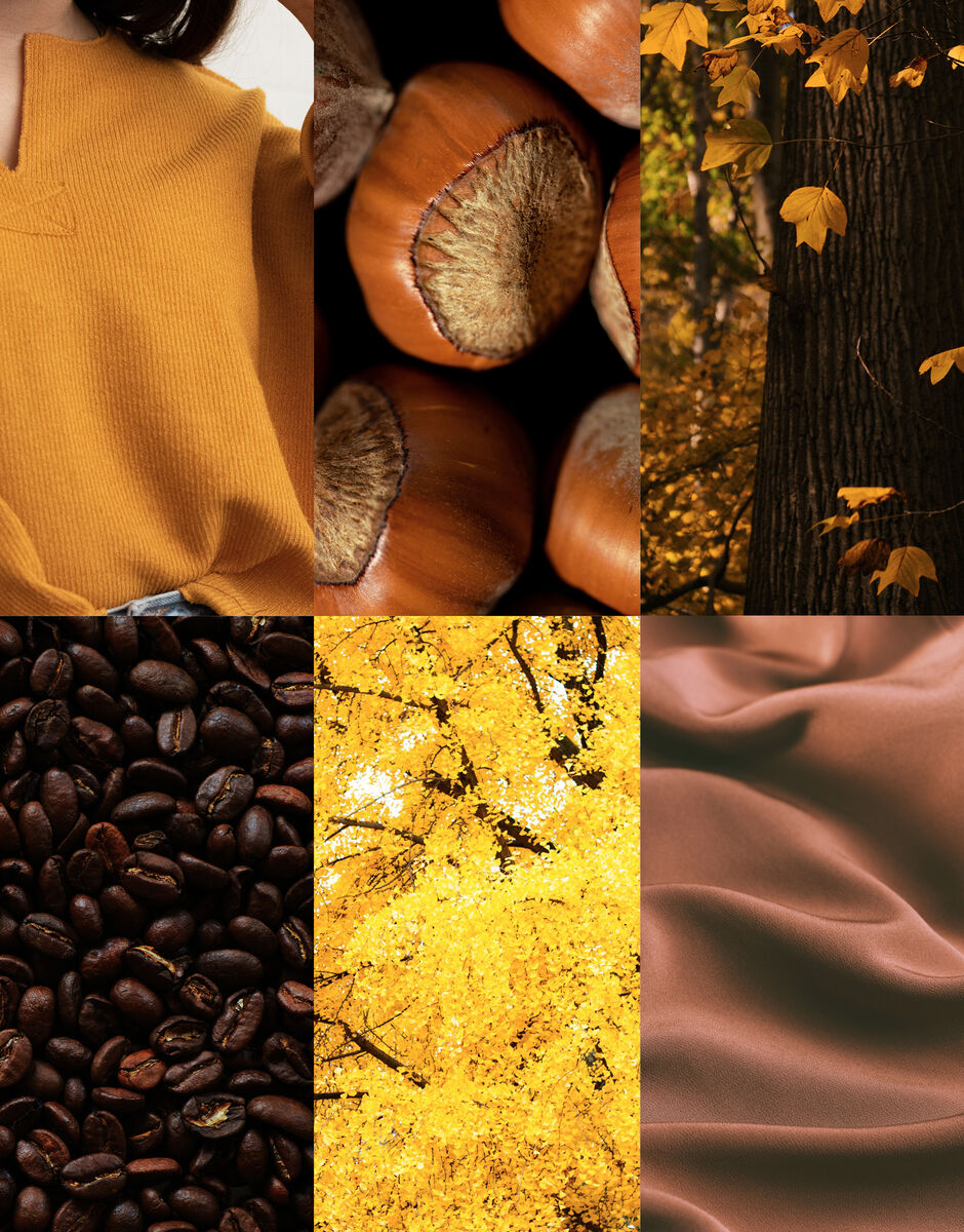 INTENSE YARN BUNDLE IN HAYFIELD BONUS DK