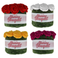 Yummy Bouquet 600g - 4 Colours Available