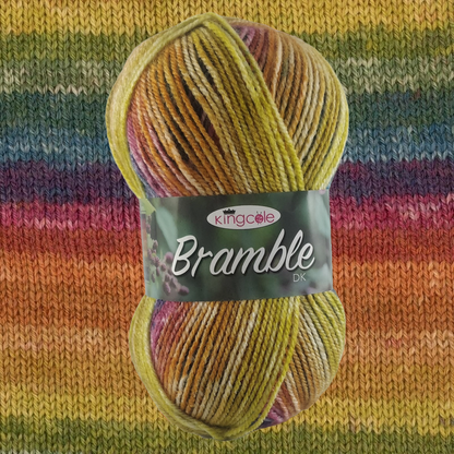 BRAMBLE DK - 100g - More colours available