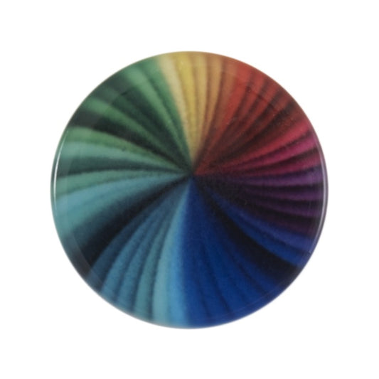 Button with Shank - 15mm - Rainbow Wheel