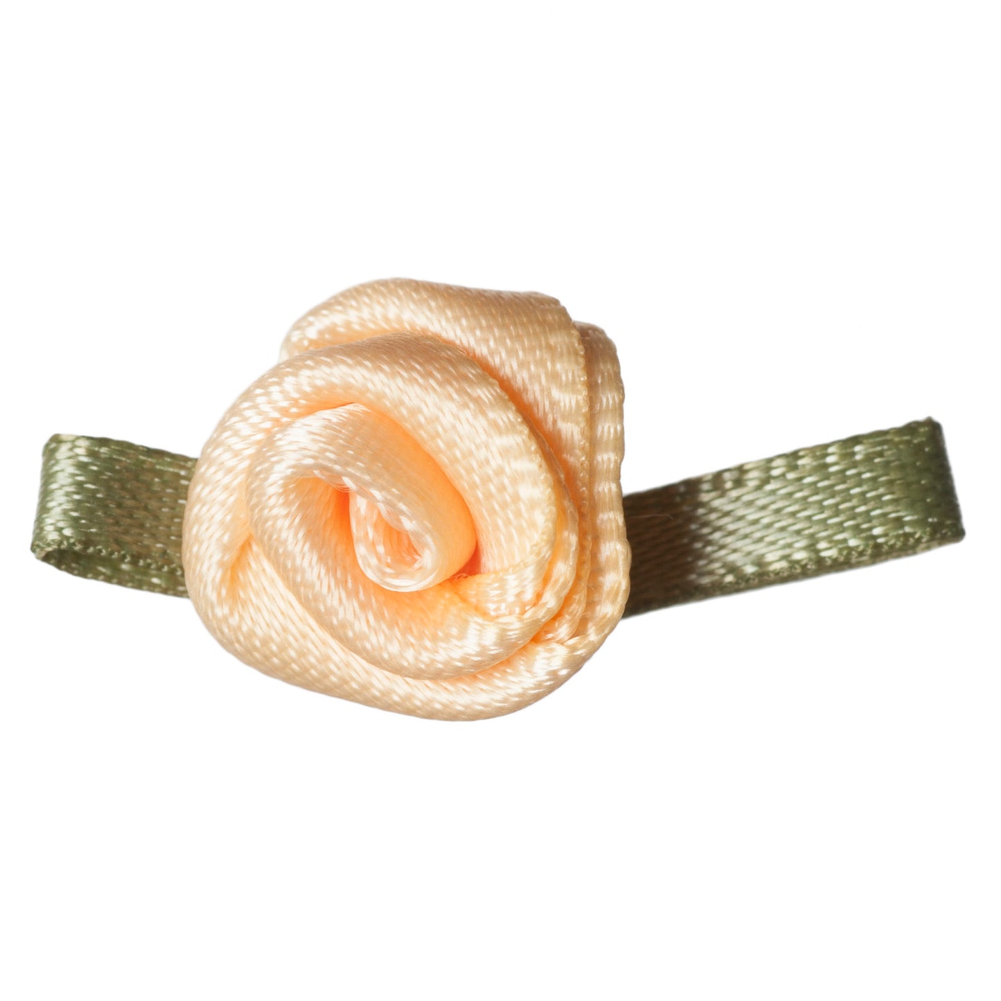 Ribbon Rose - Small with Green Leaves - Various Colours