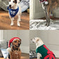 Knitting Pattern 7367 - Dog Accessories in DK