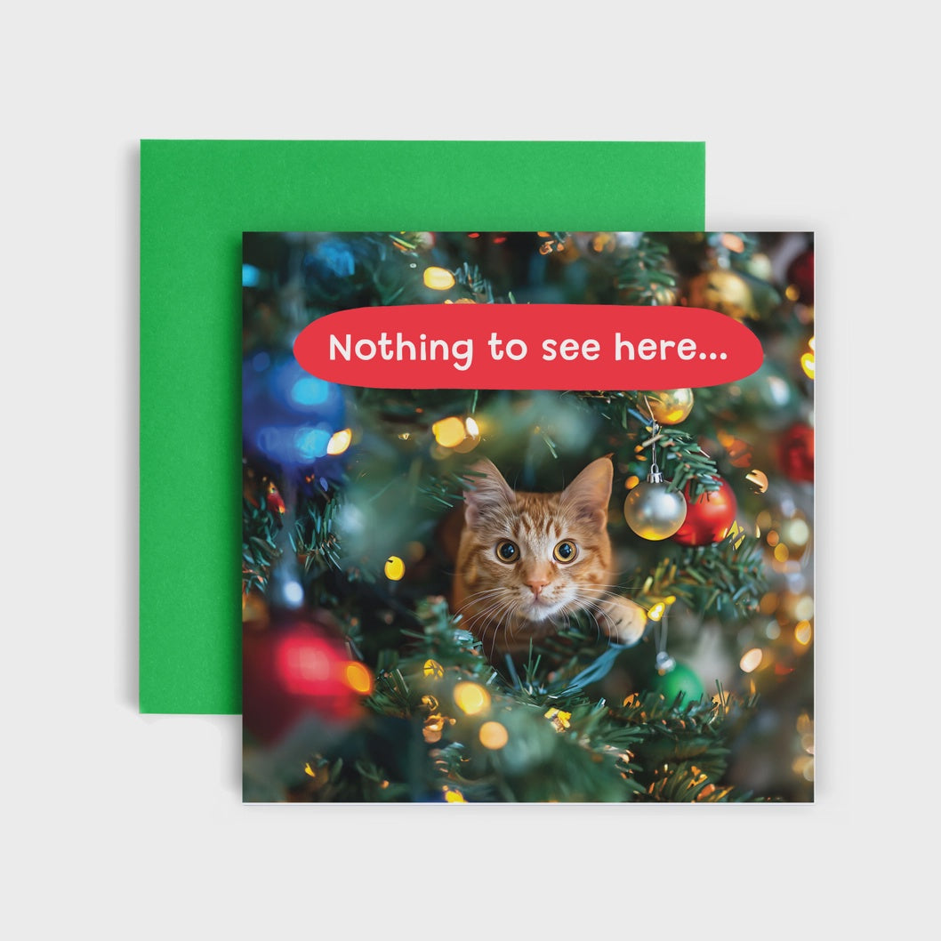 Nothing To See Here - Cat In A tree - Christmas Card