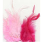FEATHERS - 15 Pieces - More colours available
