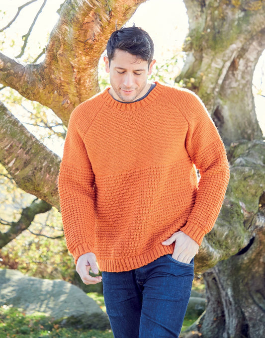 Knitting Pattern 8286 - MAN'S SWEATER IN HAYFIELD BONUS DK