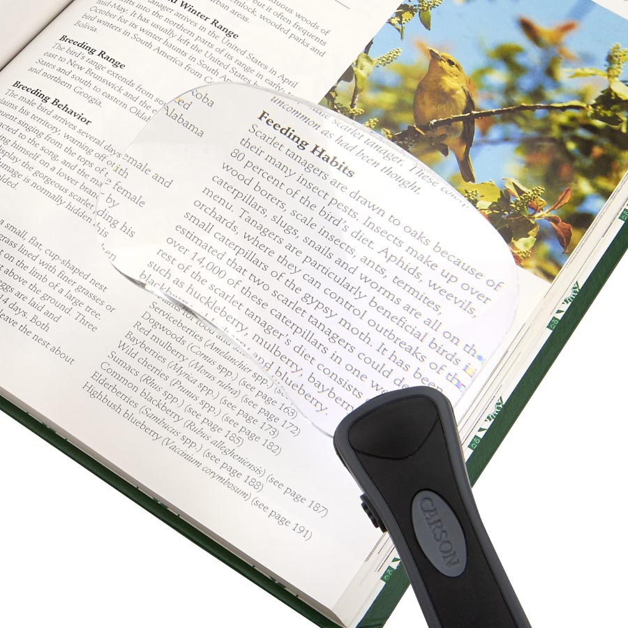 RIMLESS MAGNIFIER WITH LED ILLUMINATION