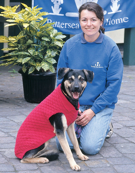 Knitting Pattern 5792 - DOG BLANKET & COAT IN BONUS DK